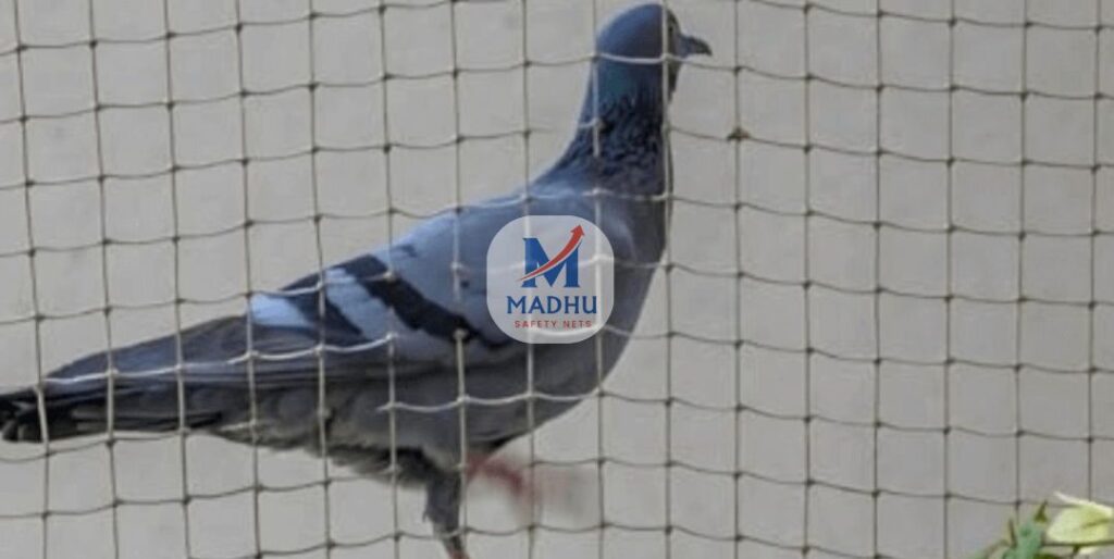 Pigeon safety nets installation in Andhra Pradesh to protect balconies and homes from birds